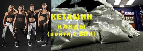 прущие грибы Каменка