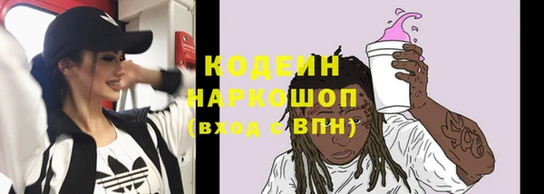 прущие грибы Каменка