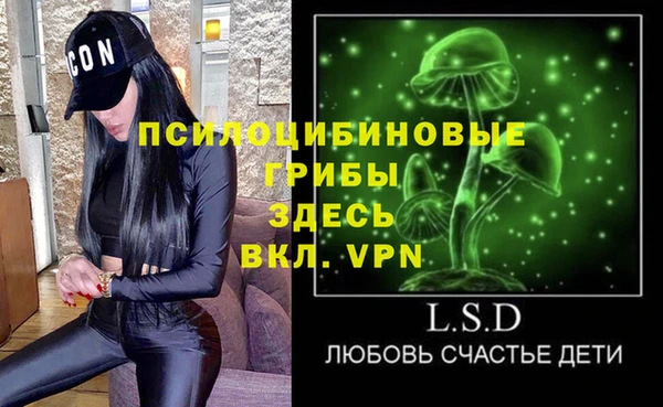 прущие грибы Каменка