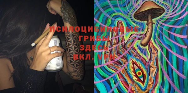 метадон Козловка