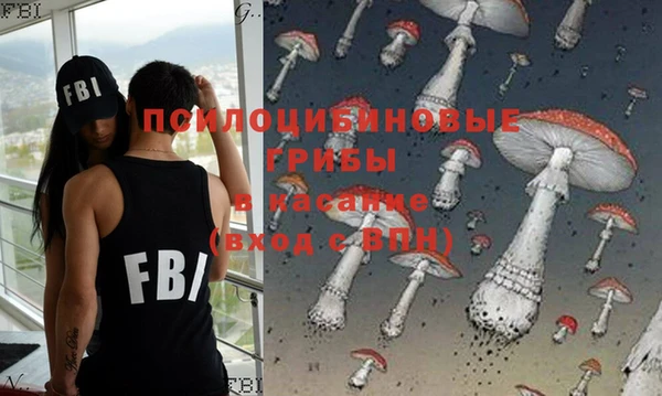 ПСИЛОЦИБИНОВЫЕ ГРИБЫ Иннополис