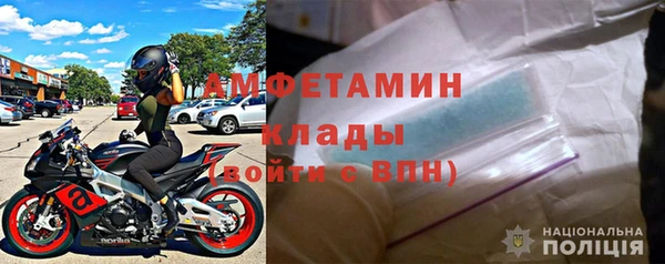прущие грибы Каменка