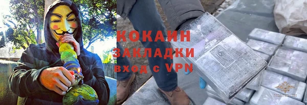 прущие грибы Каменка