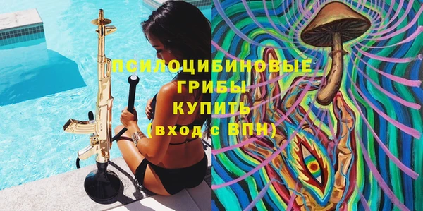 прущие грибы Каменка