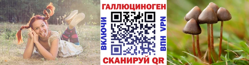 kraken ONION  купить наркоту  Катав-Ивановск  Галлюциногенные грибы прущие грибы 